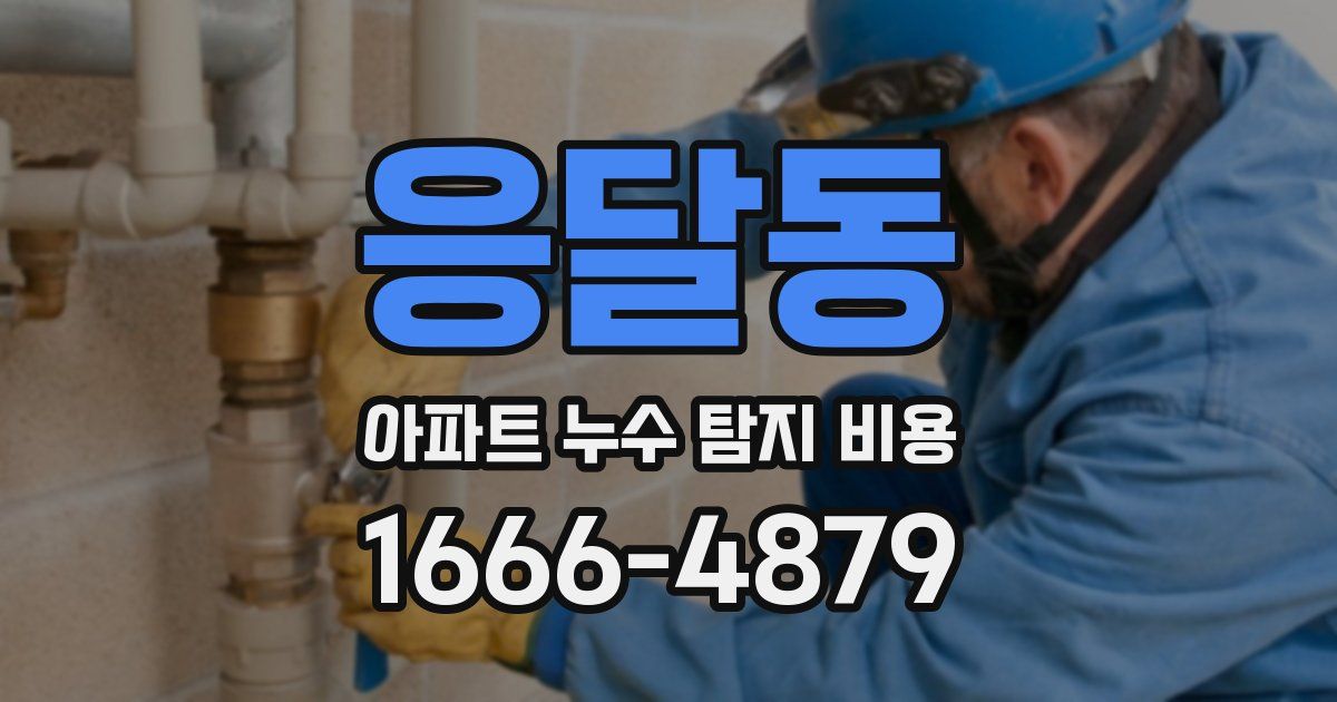 응달동 아파트 누수 탐지 비용