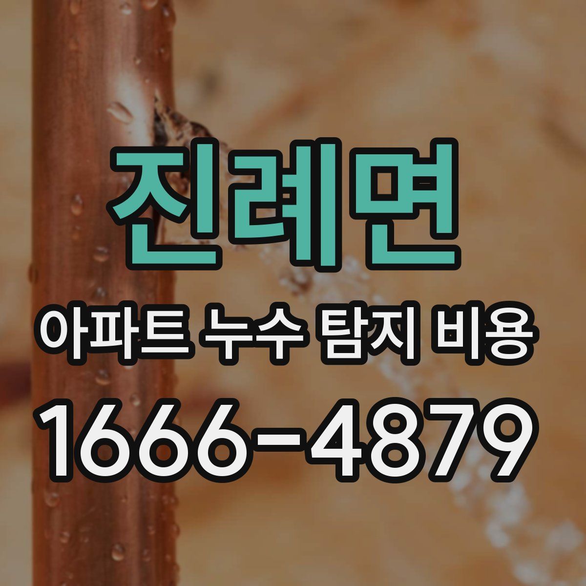 진례면 아파트 누수 탐지 비용