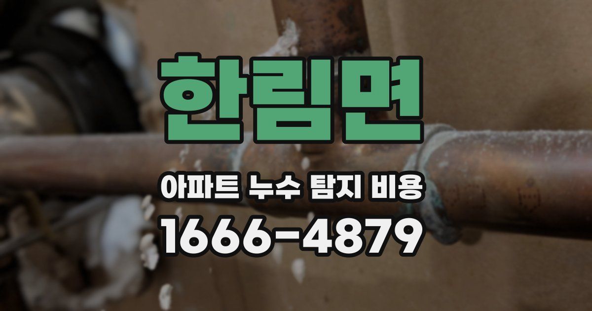 한림면 아파트 누수 탐지 비용