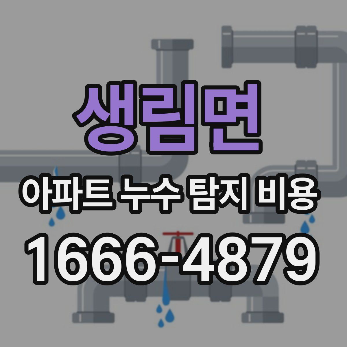생림면 아파트 누수 탐지 비용