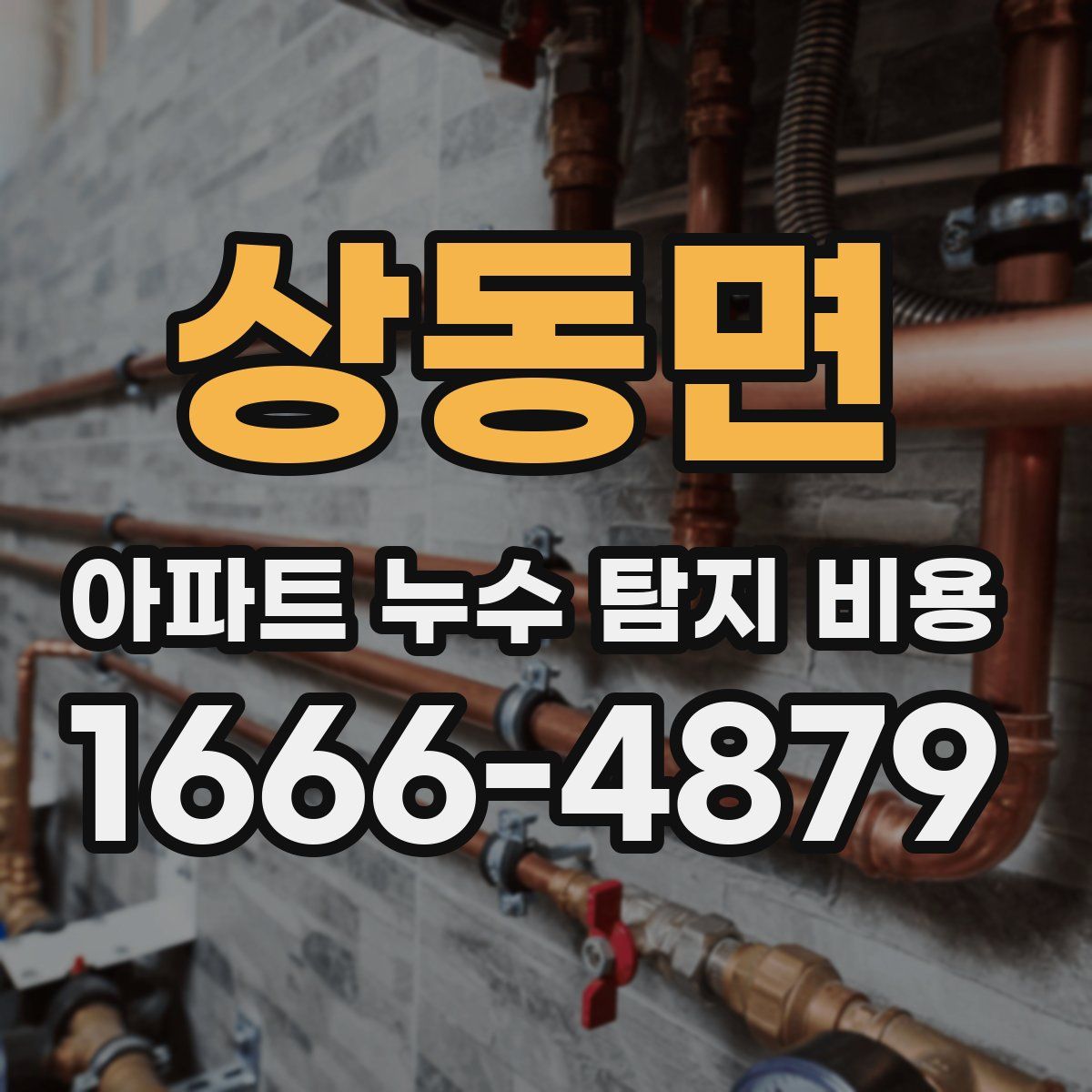 상동면 아파트 누수 탐지 비용