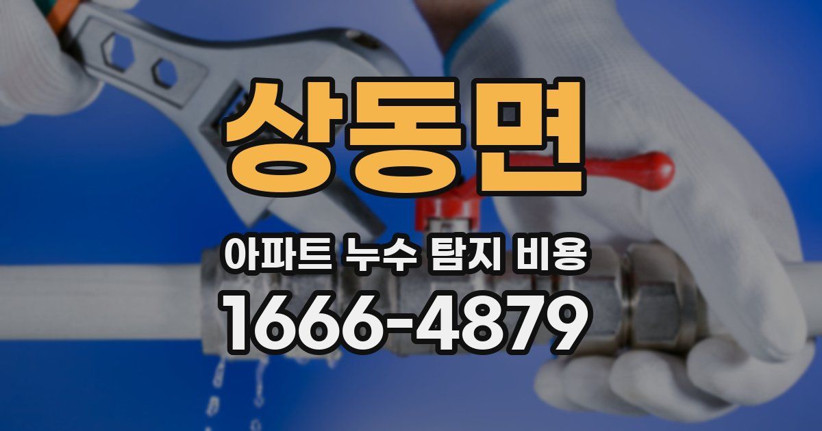 상동면 아파트 누수 탐지 비용
