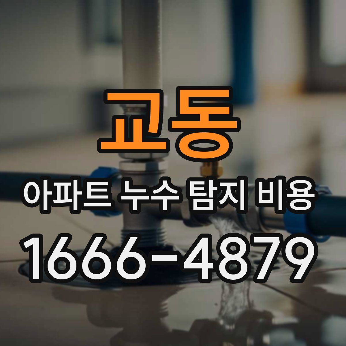 교동 아파트 누수 탐지 비용