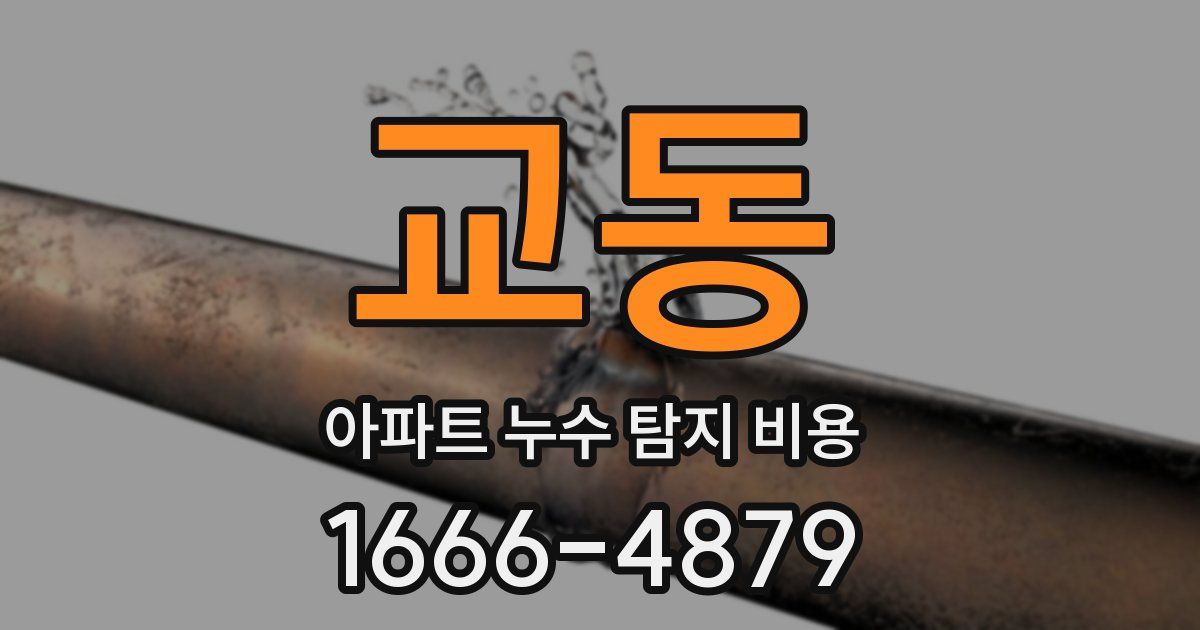 교동 아파트 누수 탐지 비용
