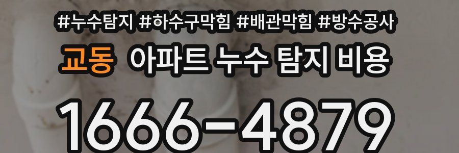교동 아파트 누수 탐지 비용