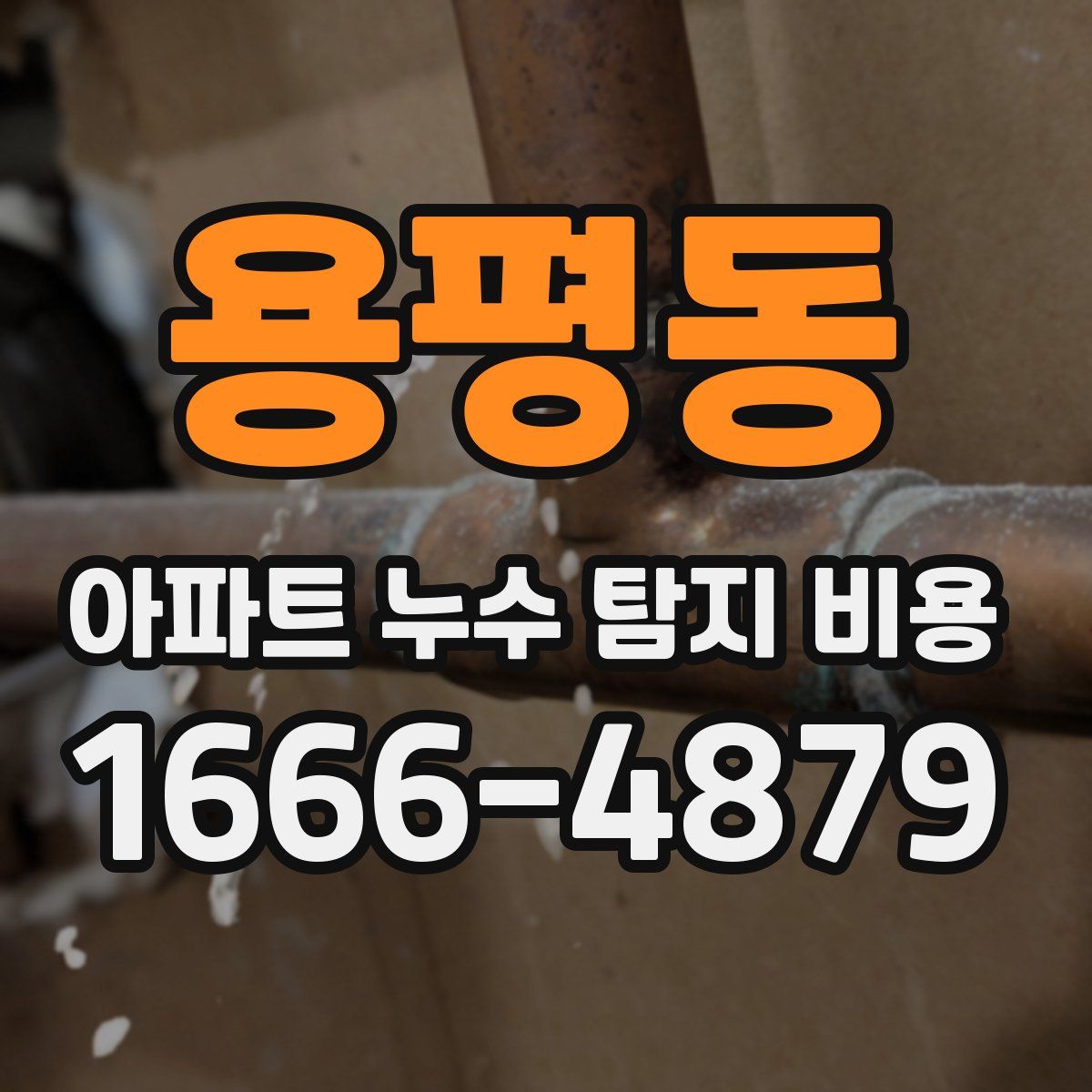 용평동 아파트 누수 탐지 비용
