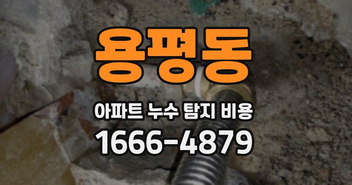 용평동 아파트 누수 탐지 비용
