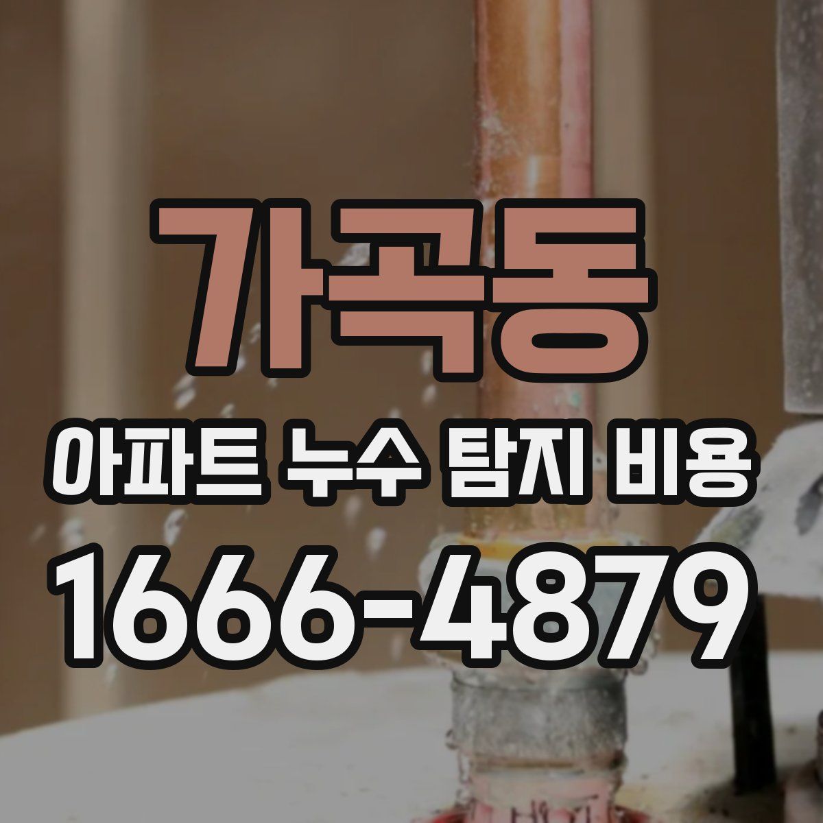가곡동 아파트 누수 탐지 비용