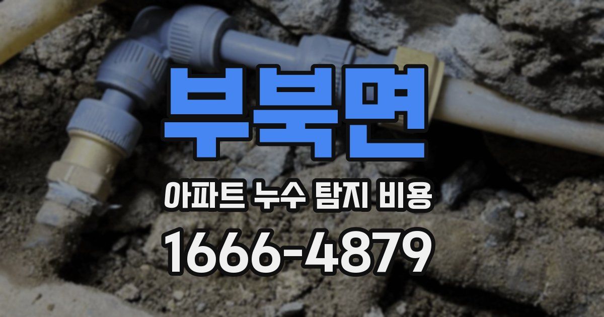 부북면 아파트 누수 탐지 비용