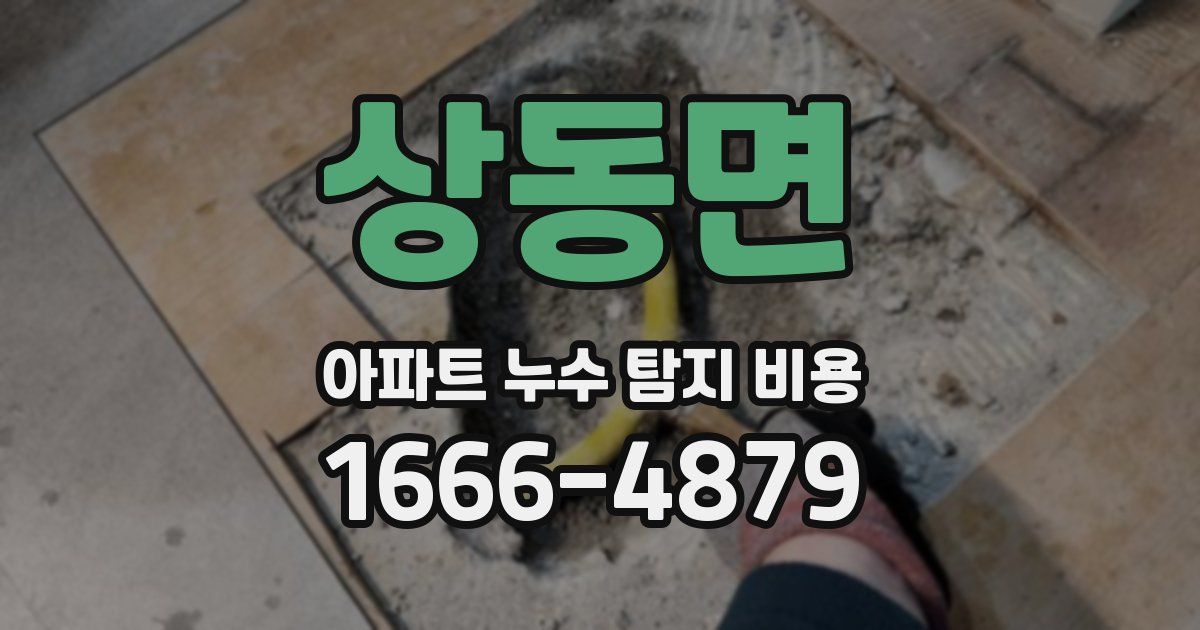 상동면 아파트 누수 탐지 비용