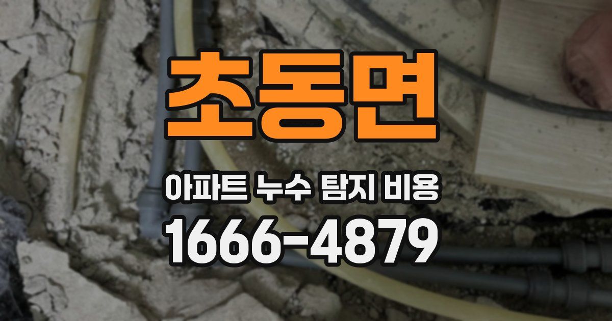 초동면 아파트 누수 탐지 비용