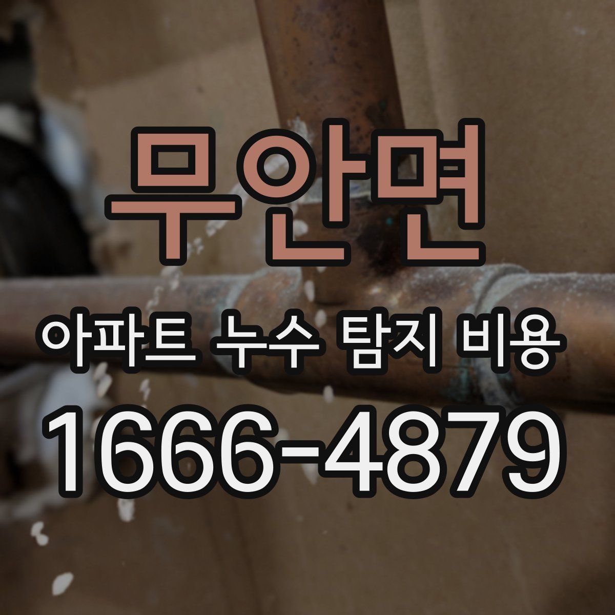 무안면 아파트 누수 탐지 비용