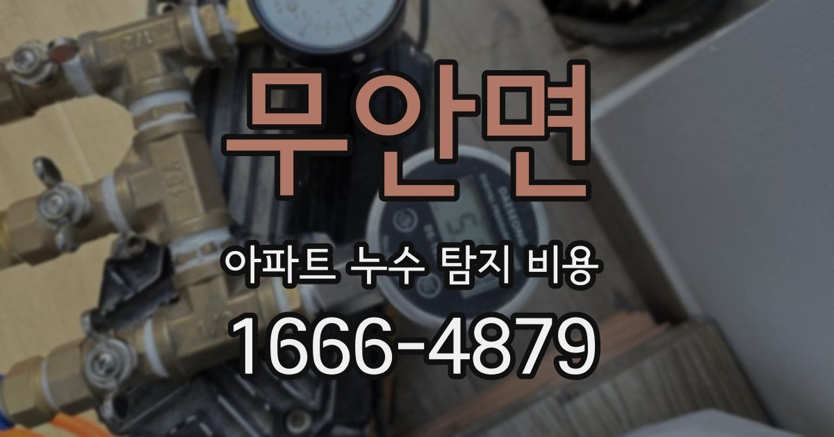 무안면 아파트 누수 탐지 비용