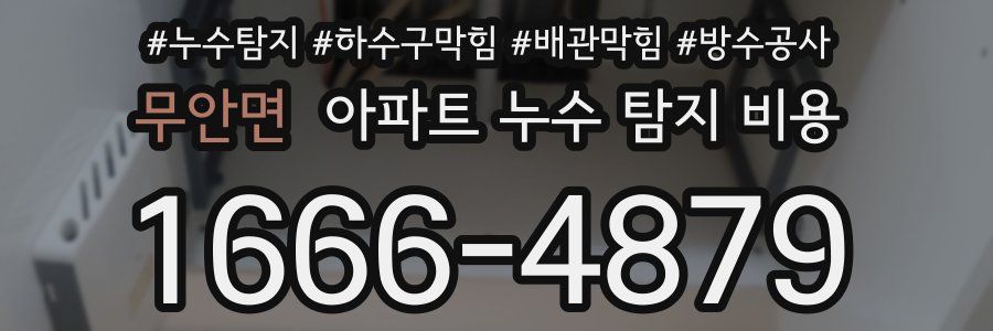 무안면 아파트 누수 탐지 비용