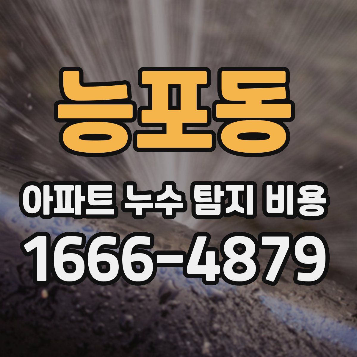 능포동 아파트 누수 탐지 비용