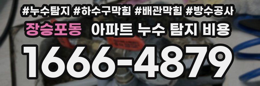 장승포동 아파트 누수 탐지 비용