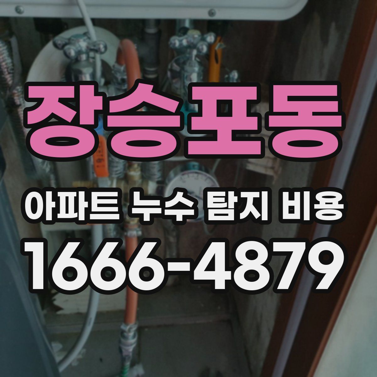 장승포동 아파트 누수 탐지 비용