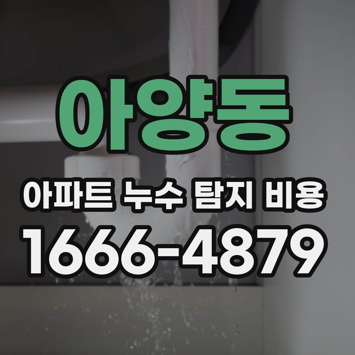 아양동 아파트 누수 탐지 비용