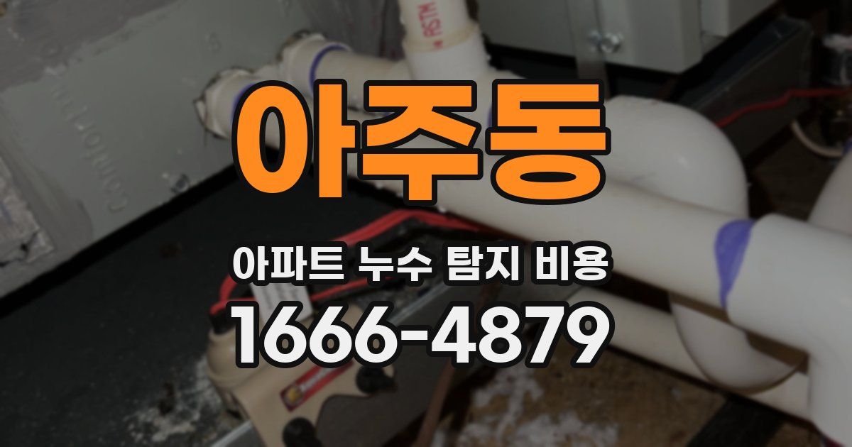 아주동 아파트 누수 탐지 비용