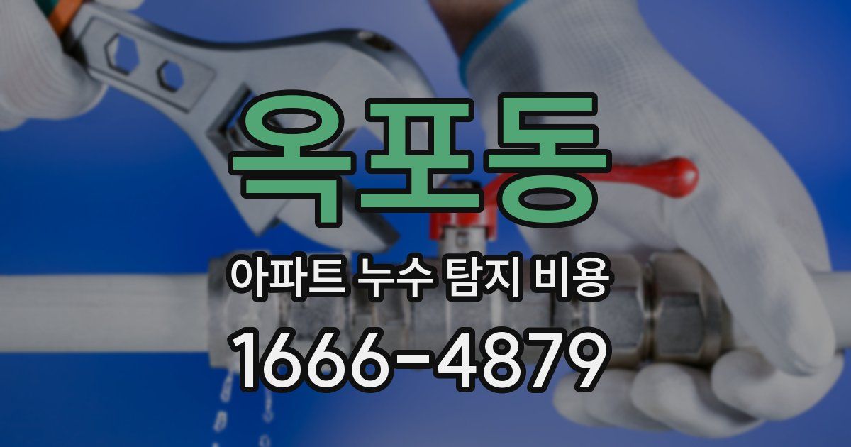 옥포동 아파트 누수 탐지 비용
