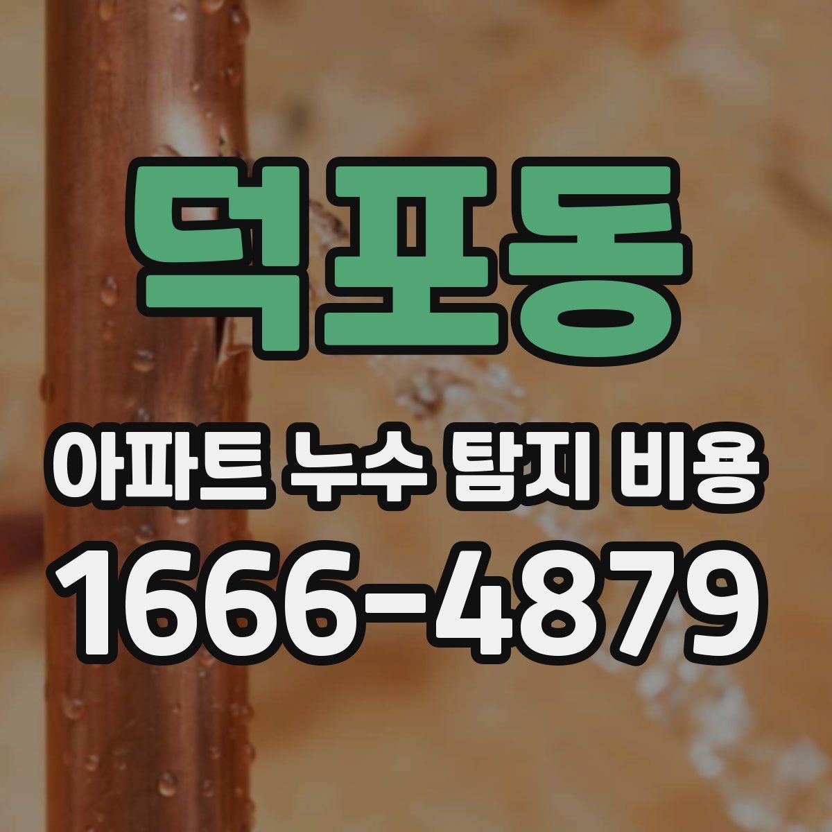 덕포동 아파트 누수 탐지 비용