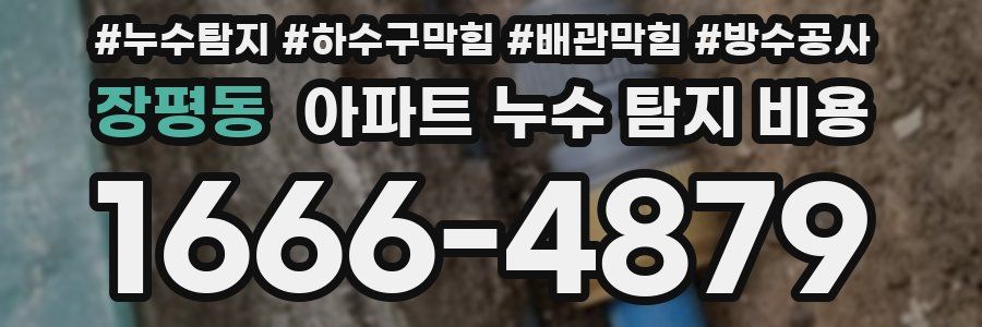 장평동 아파트 누수 탐지 비용