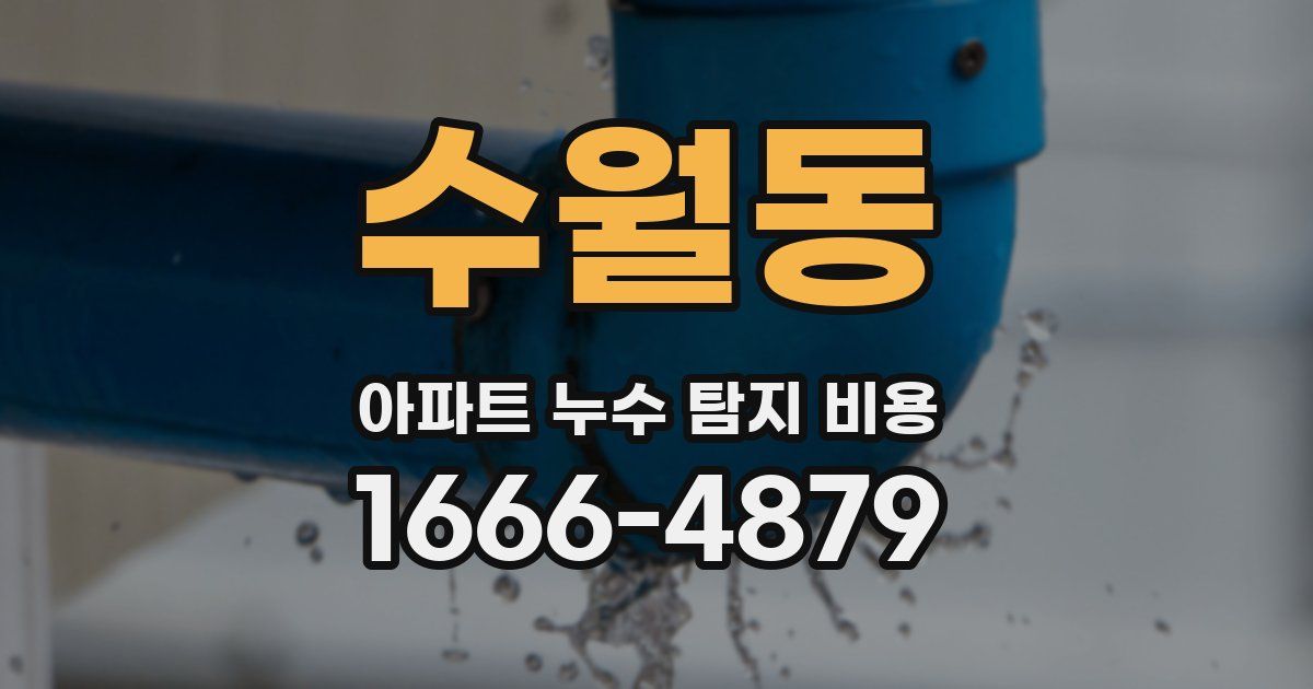 수월동 아파트 누수 탐지 비용