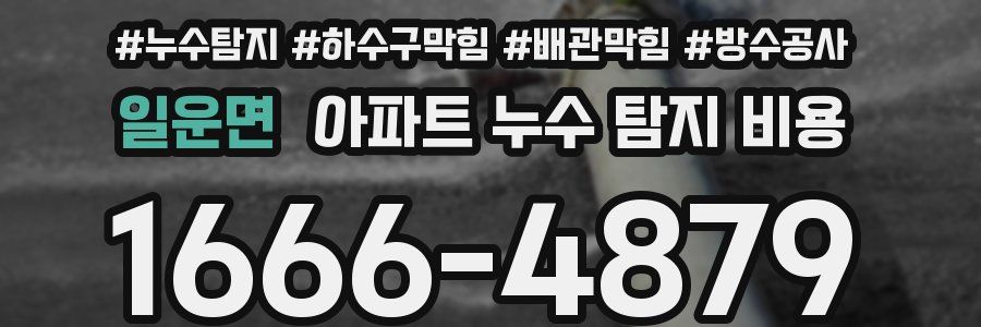 일운면 아파트 누수 탐지 비용