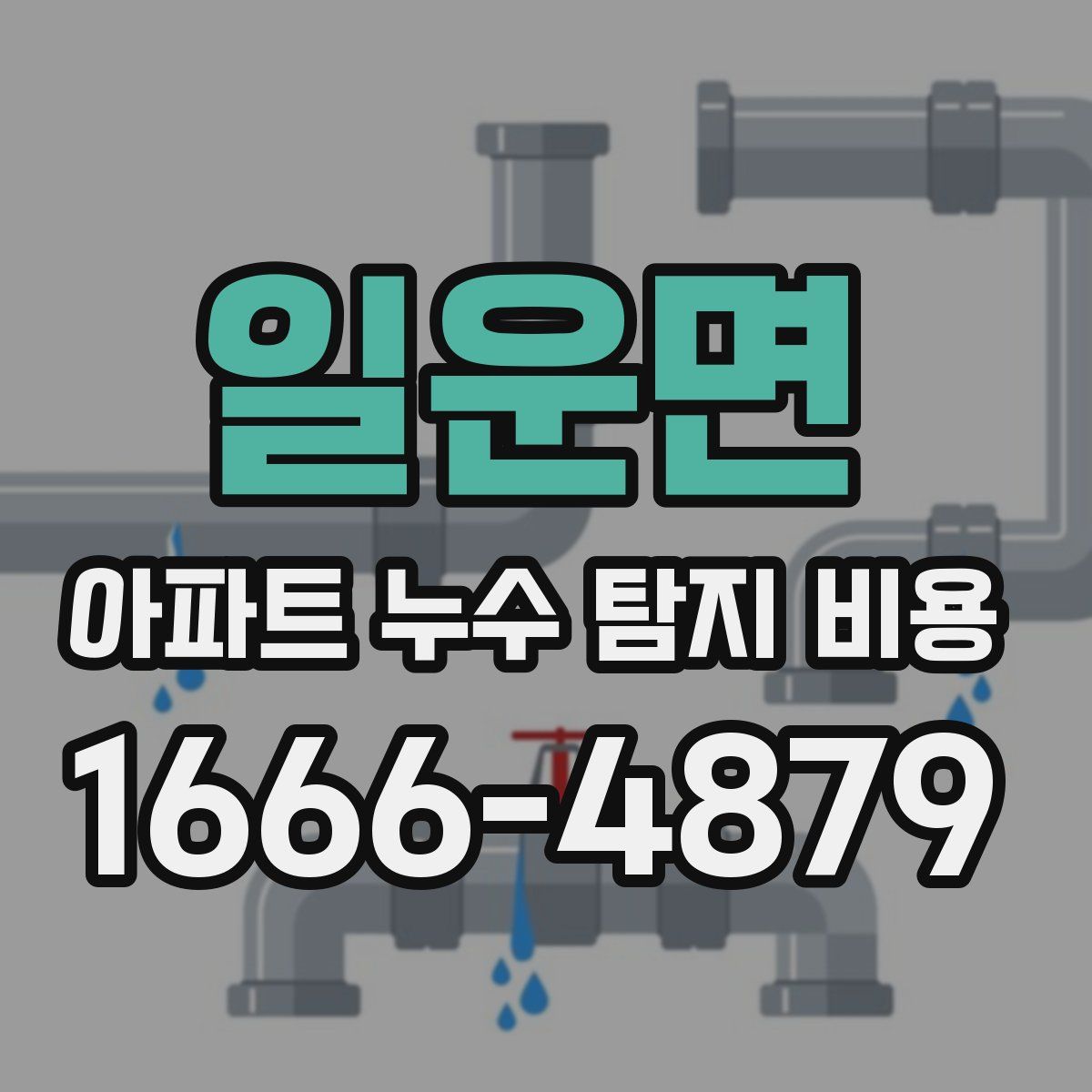 일운면 아파트 누수 탐지 비용