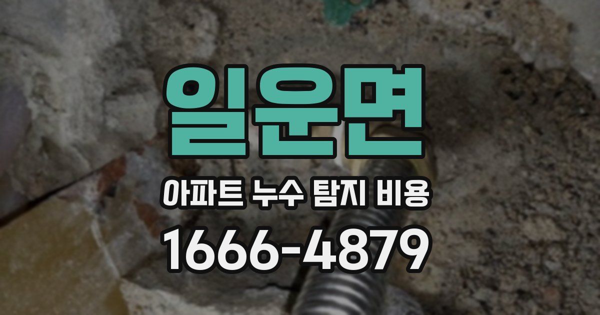 일운면 아파트 누수 탐지 비용