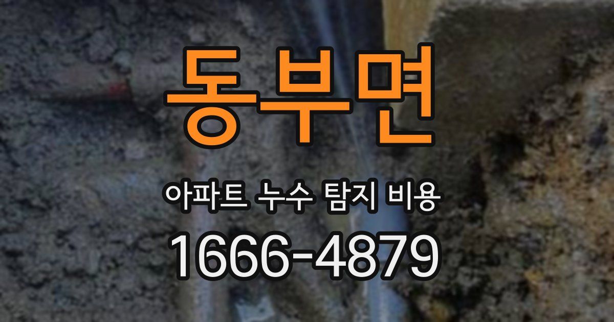 동부면 아파트 누수 탐지 비용