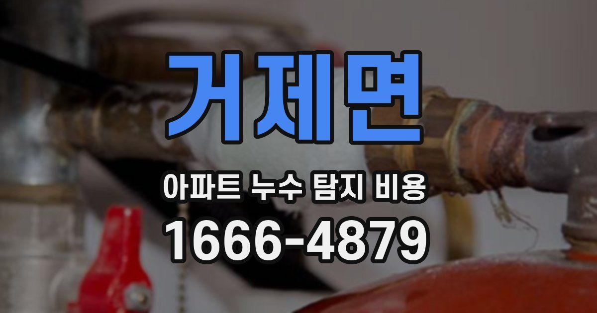 거제면 아파트 누수 탐지 비용