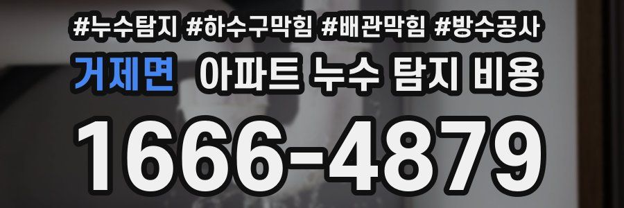 거제면 아파트 누수 탐지 비용