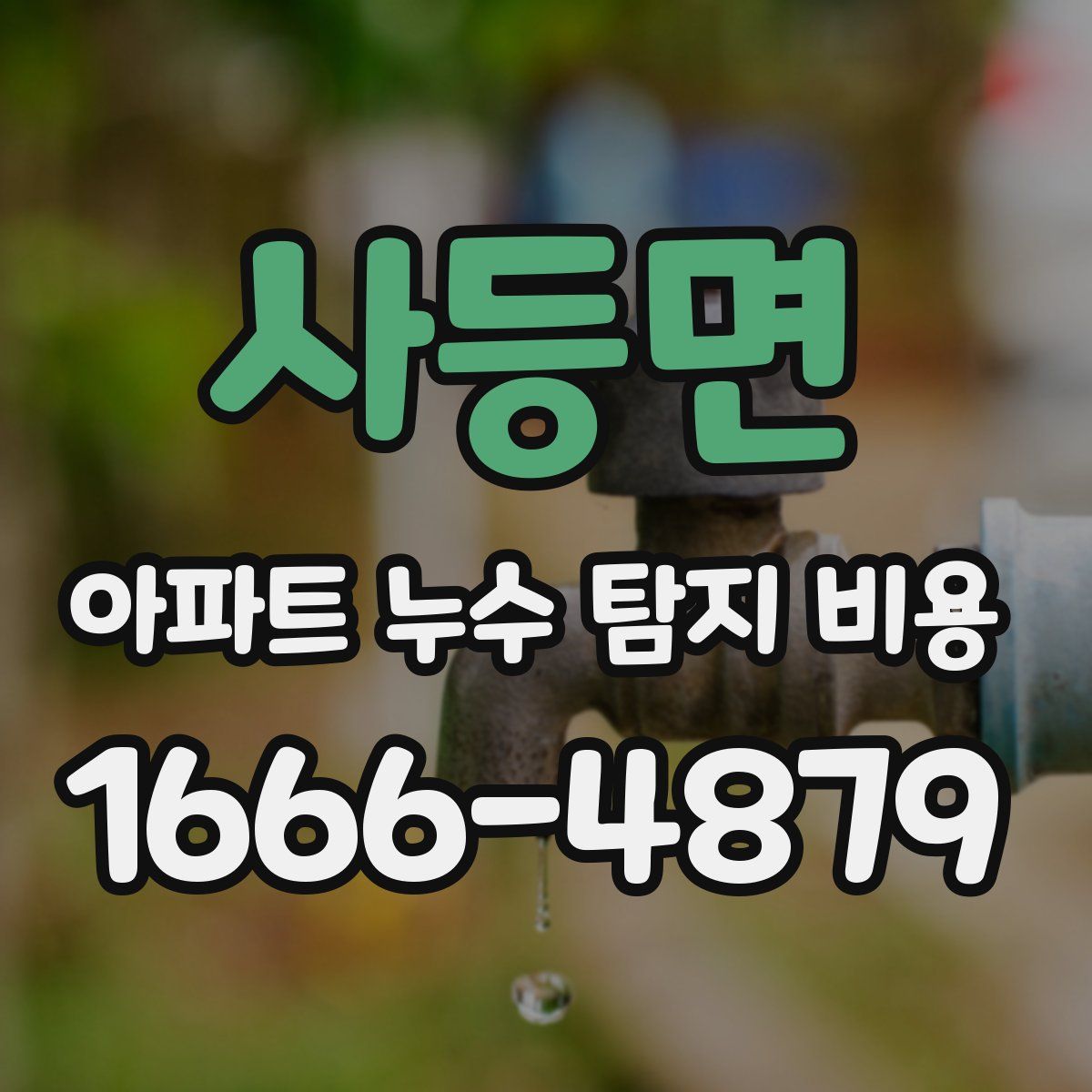사등면 아파트 누수 탐지 비용