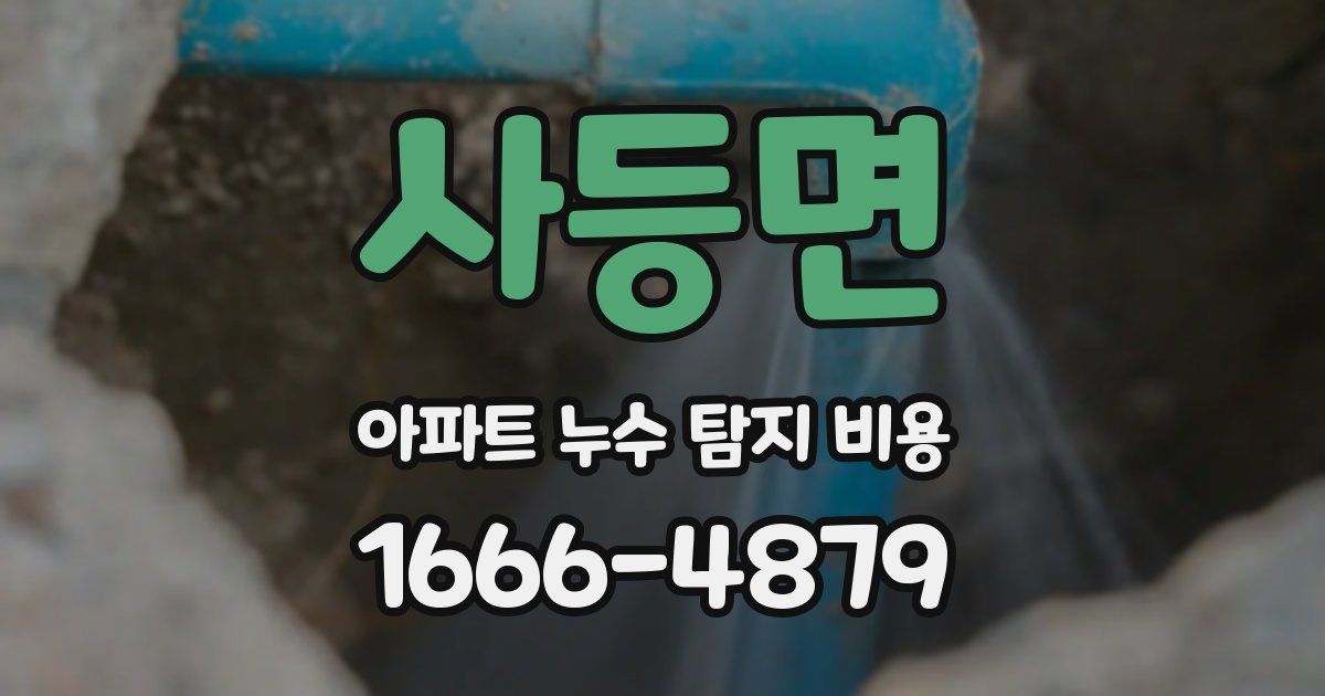 사등면 아파트 누수 탐지 비용