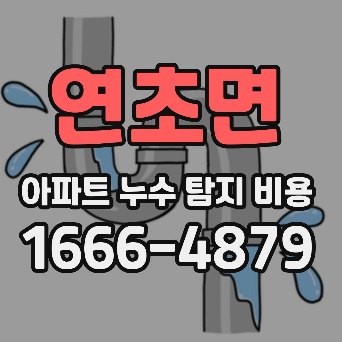 연초면 아파트 누수 탐지 비용