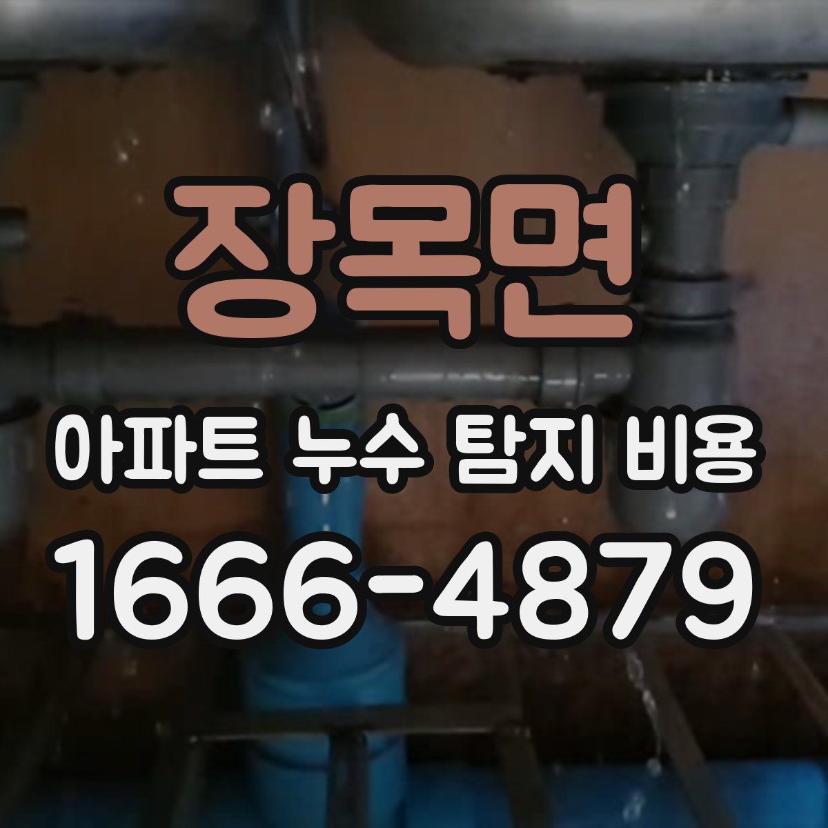 장목면 아파트 누수 탐지 비용