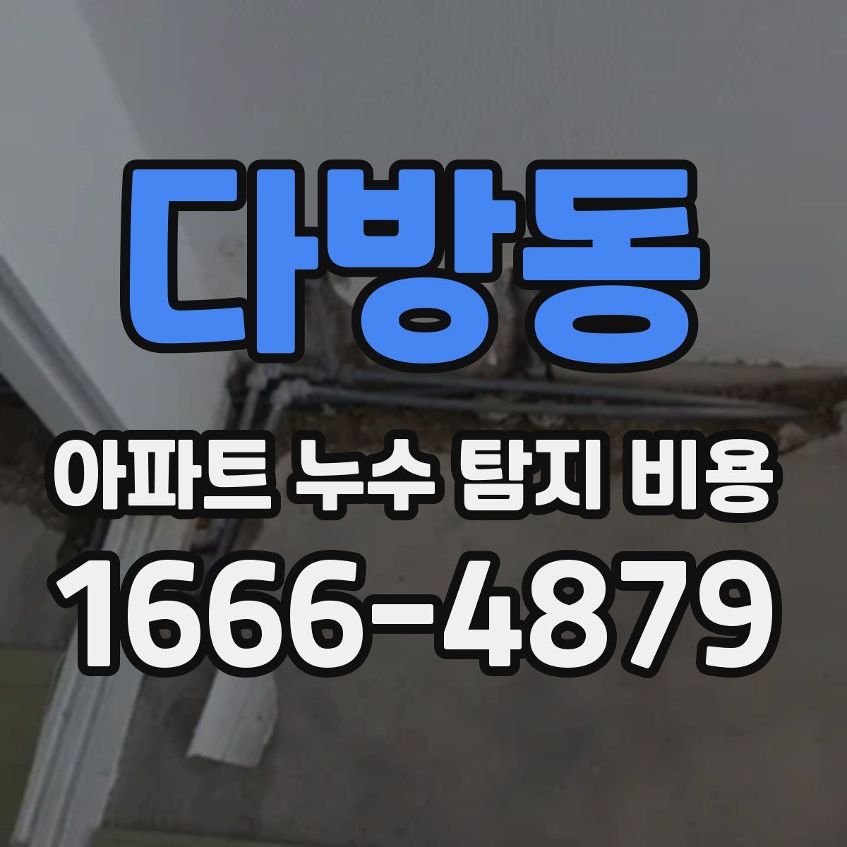 다방동 아파트 누수 탐지 비용