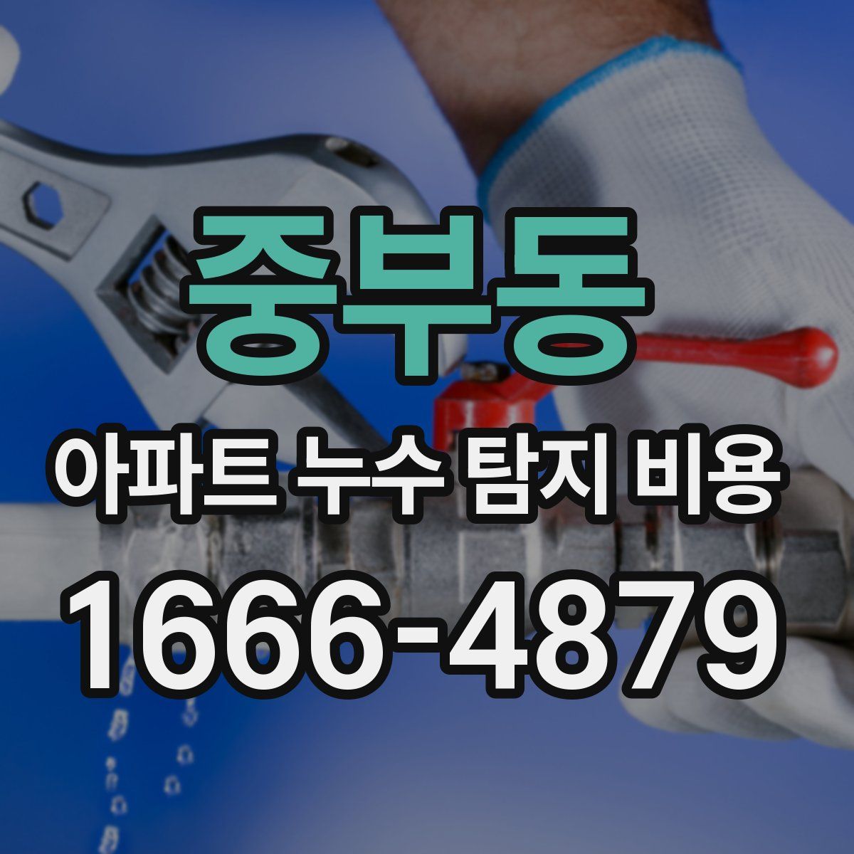 중부동 아파트 누수 탐지 비용