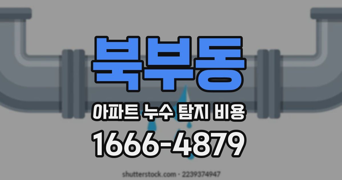 북부동 아파트 누수 탐지 비용