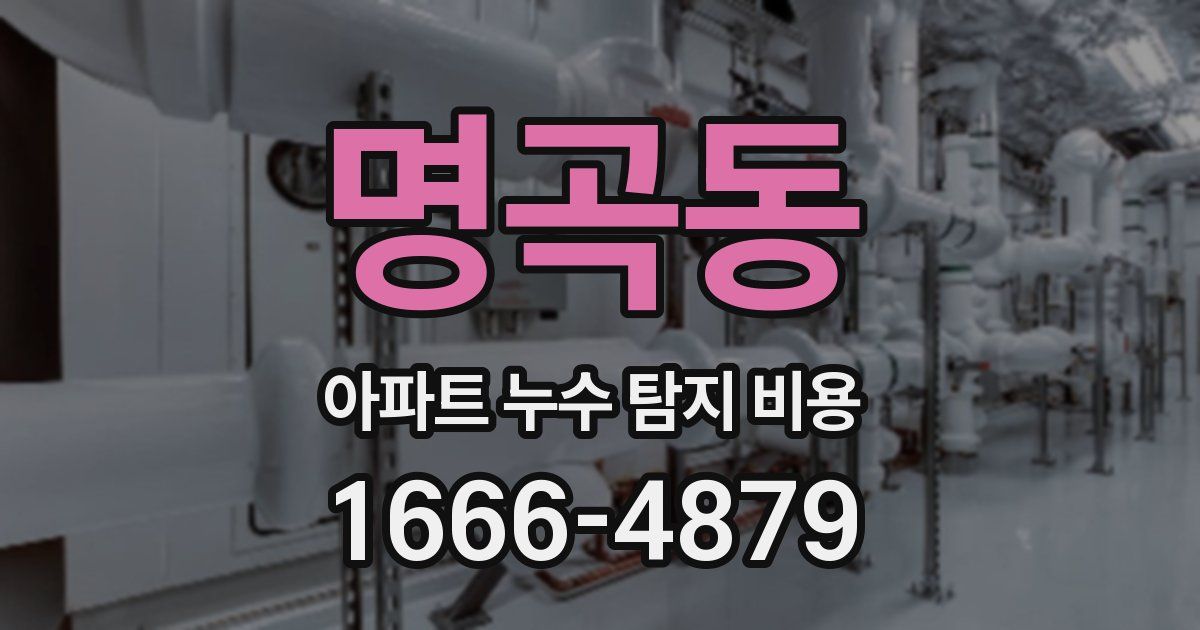 명곡동 아파트 누수 탐지 비용