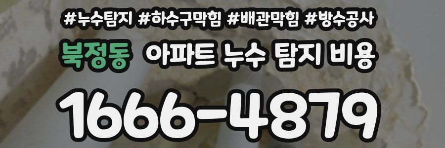 북정동 아파트 누수 탐지 비용