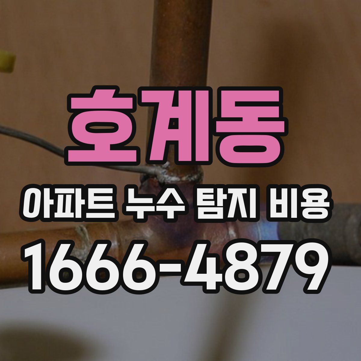 호계동 아파트 누수 탐지 비용