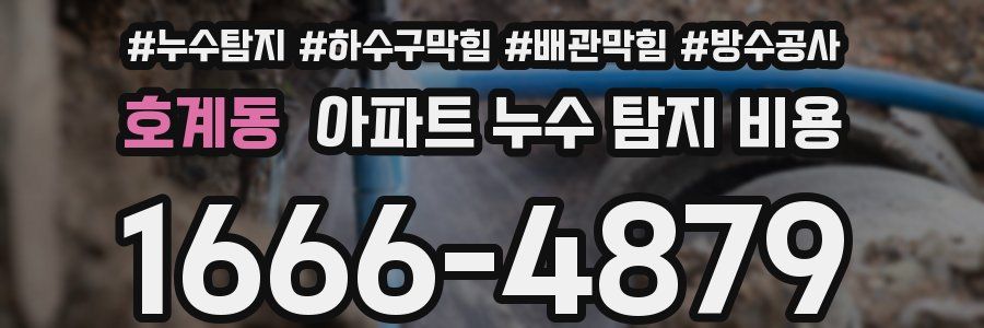 호계동 아파트 누수 탐지 비용