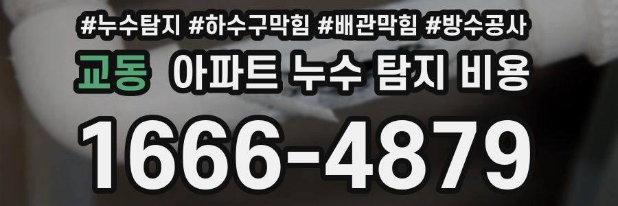 교동 아파트 누수 탐지 비용
