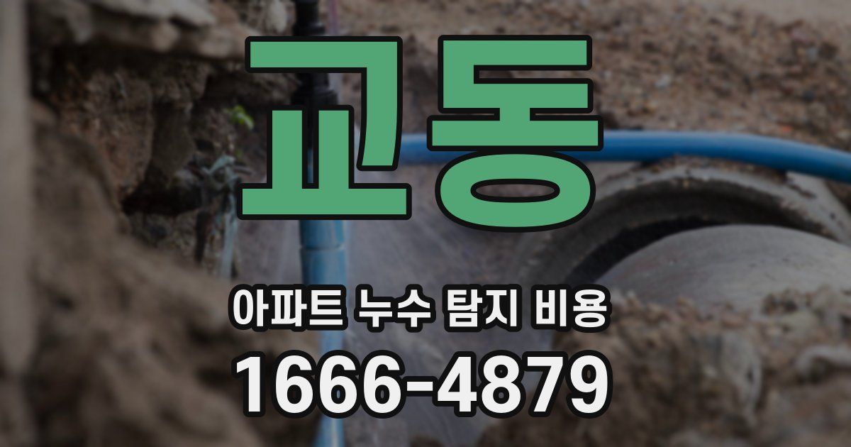 교동 아파트 누수 탐지 비용