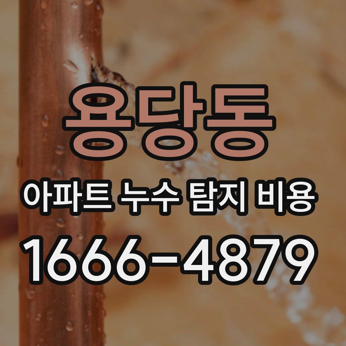 용당동 아파트 누수 탐지 비용