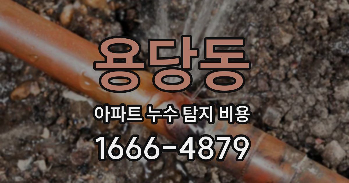용당동 아파트 누수 탐지 비용