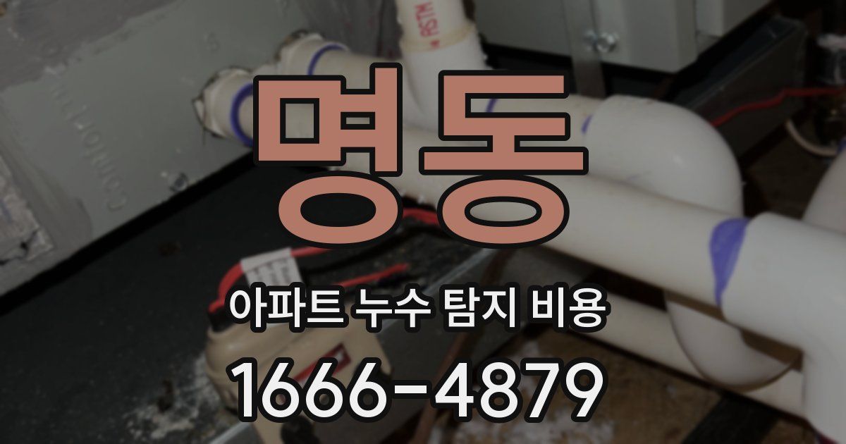 명동 아파트 누수 탐지 비용
