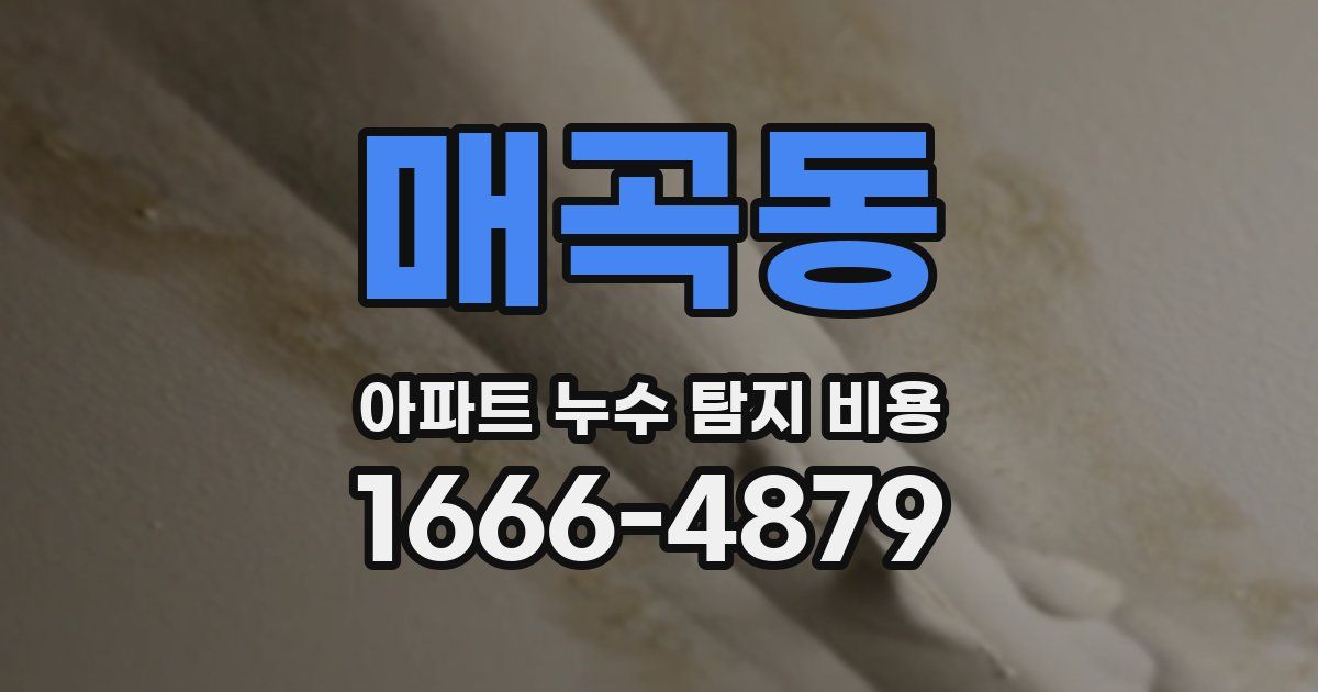 매곡동 아파트 누수 탐지 비용